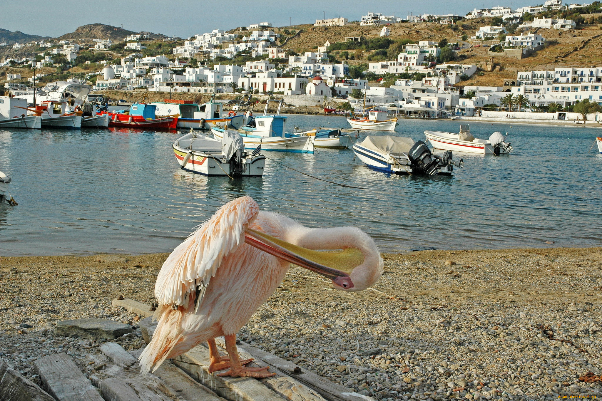  , , - ,  ,  , mykonos, , , greece
